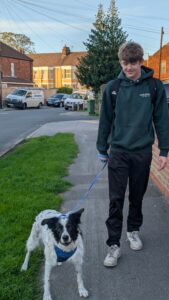 Bailey The Beverley Dog Walker